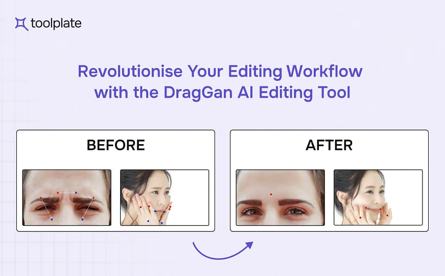DragGan AI Editing Tool