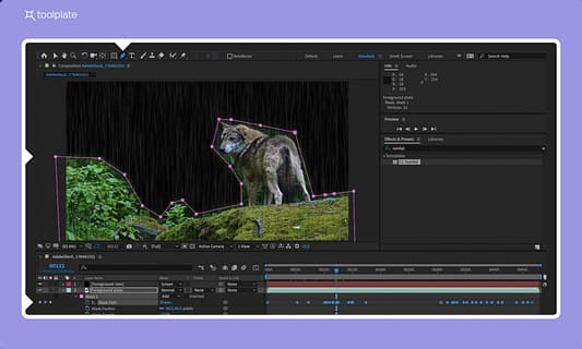 Adobe After Effects Tool Image 3