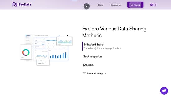 SayData Tool Image 3