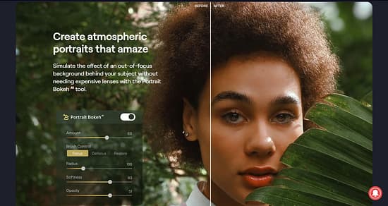 Luminar  Tool Image 6