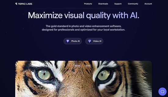 Topaz Labs Tool Image 1
