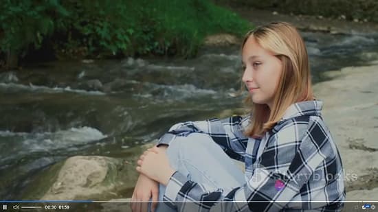 Invideo Tool Image 3