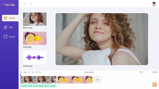 Flexclip Tool Image 2