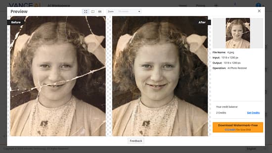 Vance AI Tool Image 6