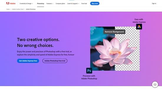 Photoshop Generative AI Tool Image 1