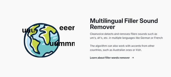 Cleanvoice Tool Image 2