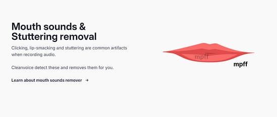 Cleanvoice Tool Image 3