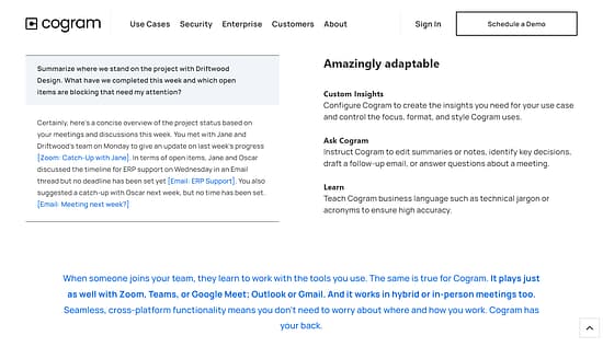 Cogram Tool Image 2