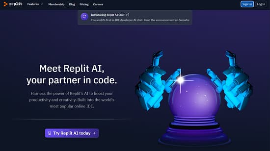 Replit Tool Image 1