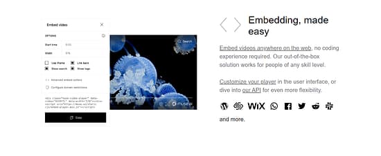 Muse Tool Image 5