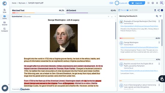 CopyLeaks Tool Image 8