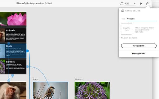 Adobe XD Tool Image 7