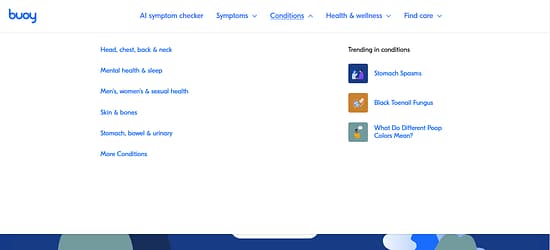 Buoy Health Tool Image 4