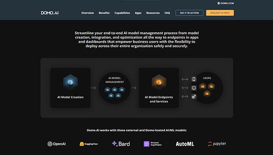 Domo Tool Image 3
