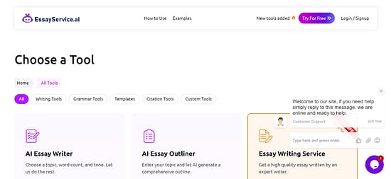 EssayService.ai Tool Image 1