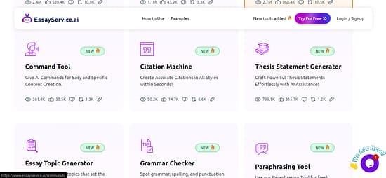 EssayService.ai Tool Image 2