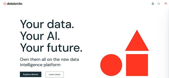 Databricks Tool Image 1