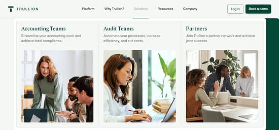 Trullion Tool Image 2