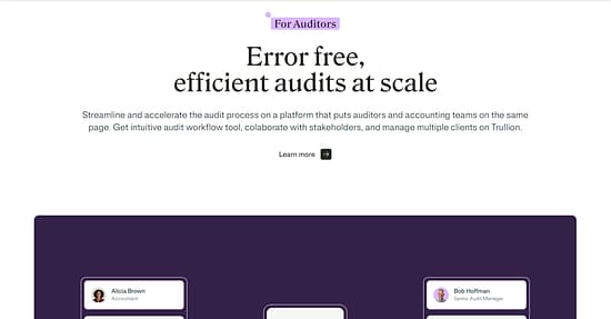 Trullion Tool Image 4