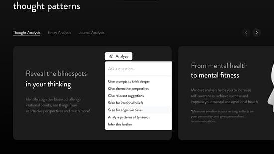 Mindsera Tool Image 2