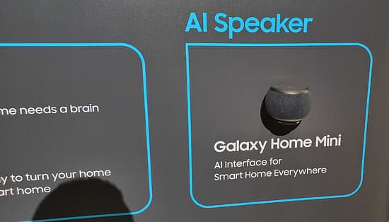 Samsung Galaxy Home Mini Tool Image 1