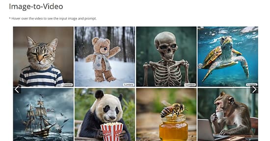 Google Lumiere Tool Image 3