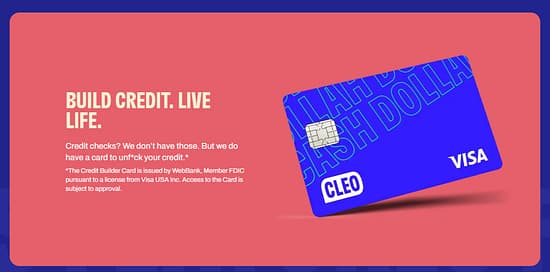 Cleo Tool Image 6