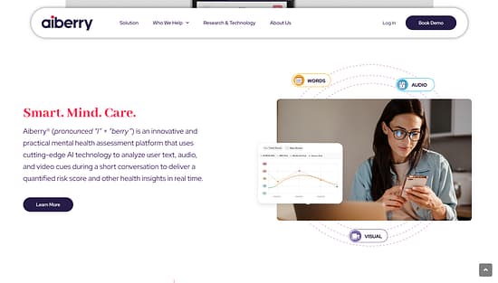 Aiberry Tool Image 2