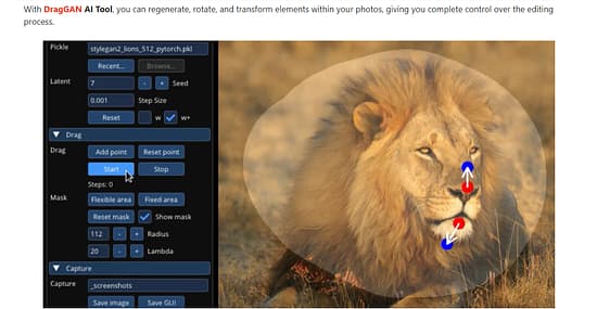 DragGan AI Tool Image 1