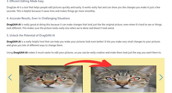 DragGan AI Tool Image 3
