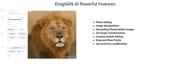 DragGan AI Tool Image 4