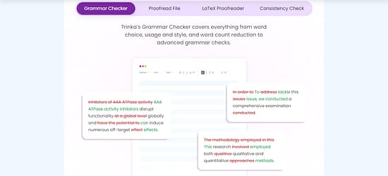 Trinka AI Tool Image 2