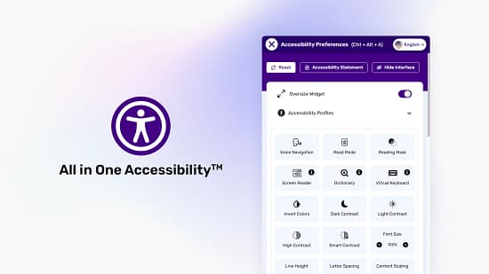 All in One Accessibility Tool Image 3