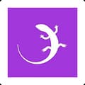 QuizGecko AI
