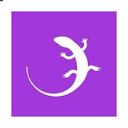 QuizGecko AI