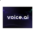 Voice