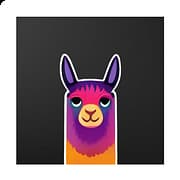 Alpaca